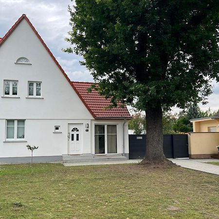 Ferienhaus Constanze Muecheln Am Geiseltalsee Stobnitz Exterior photo